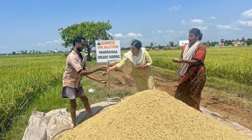 Result: Higher Yield