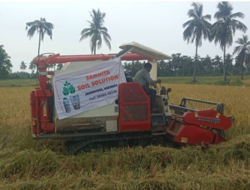 Sustainable Practices